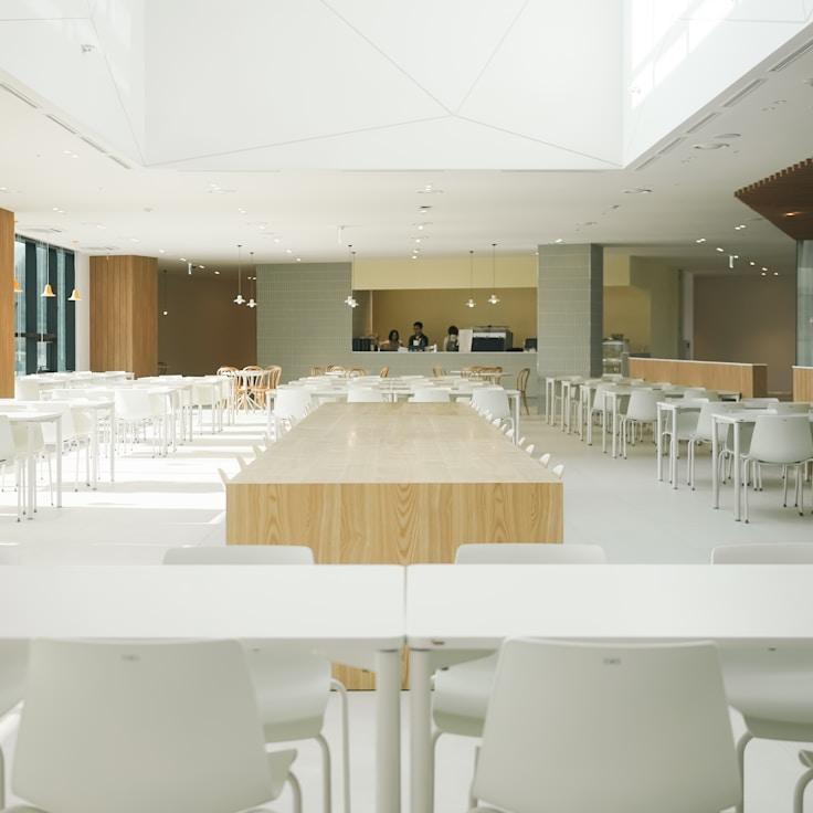 School choices for expat families in Plano, United States